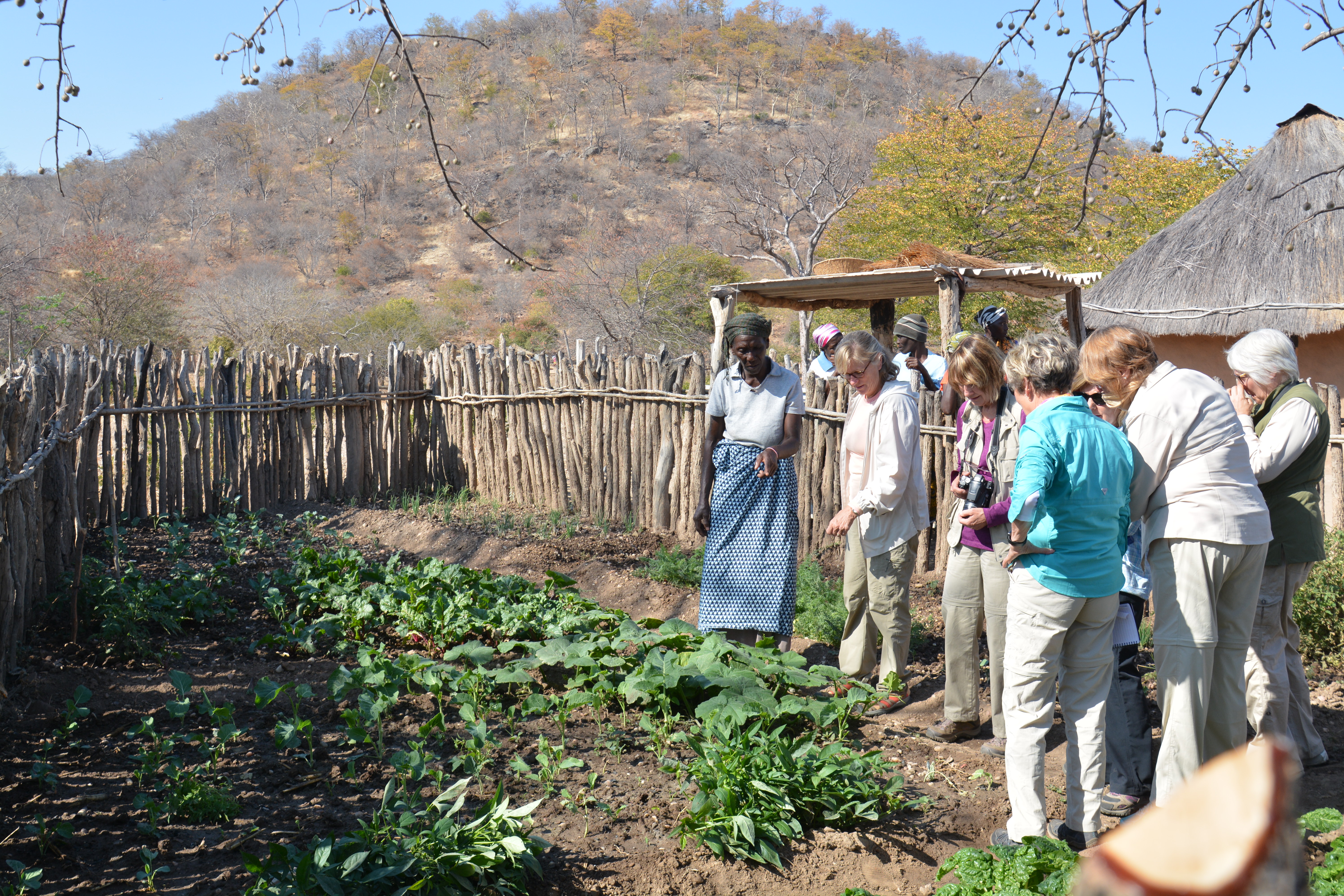 AFRICA JULY 2017_6524