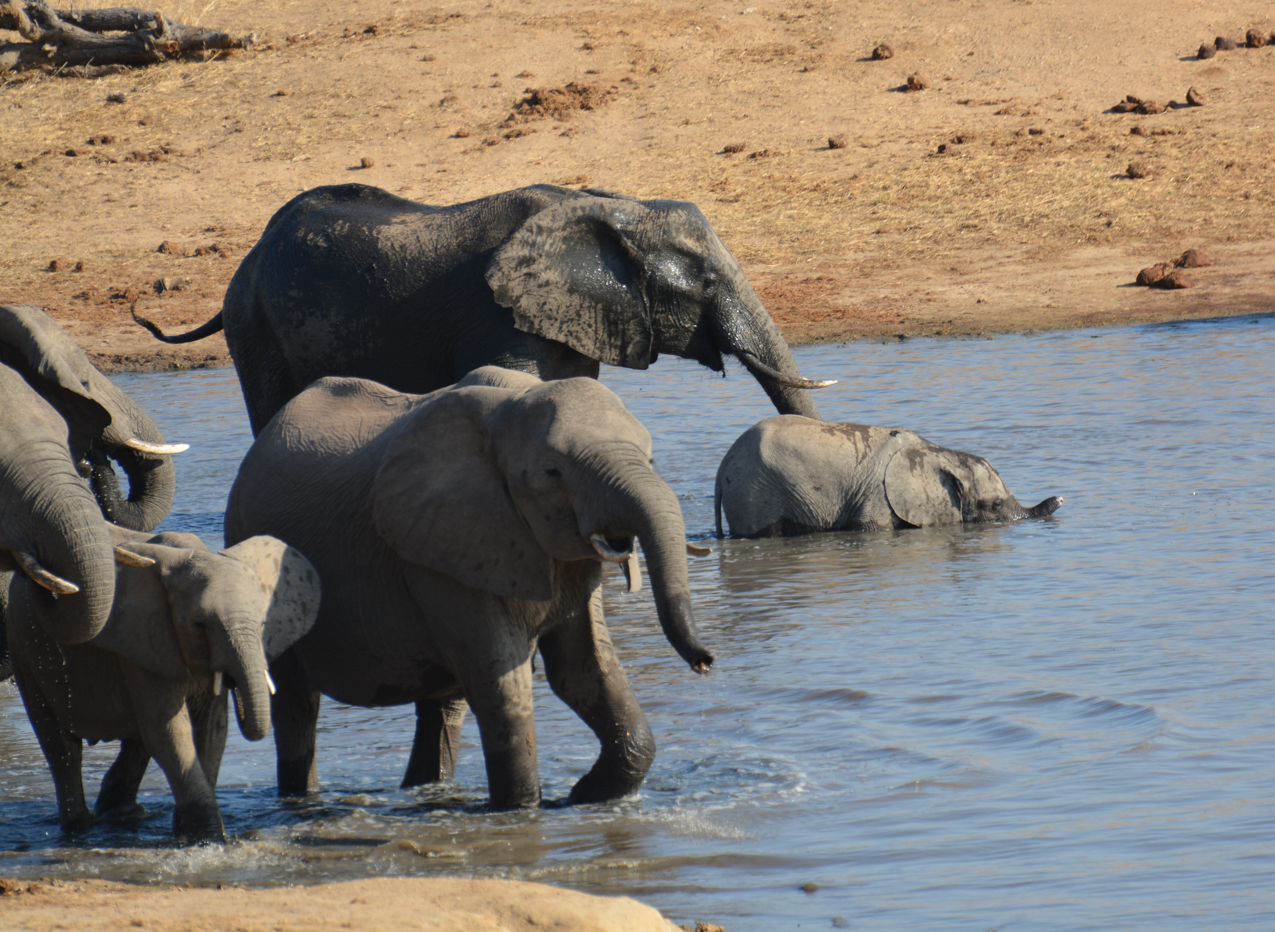 AFRICA JULY 2017_6821_edited-1