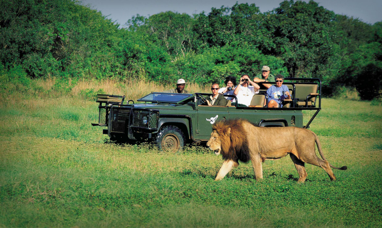 SOUTH AFRICAN TOURISM