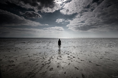 JONATHAN EVISON (AUTHOR)