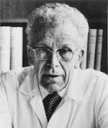 HANS ASPERGER (1906-1980, AUSTRIAN PEDIATRICIAN, MEDICAL THEORIST, AND MEDICAL PROFESSOR)