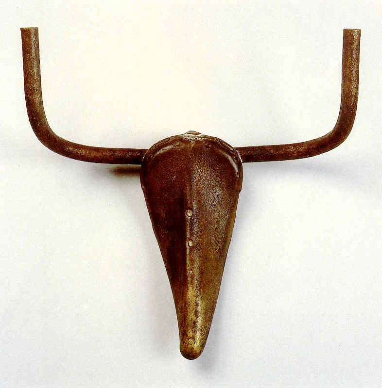 PICASSO'S BULL'S HEAD
