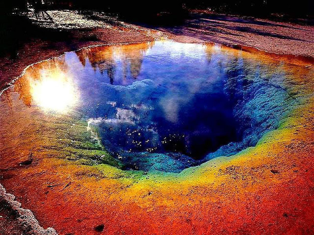 THERMOPHILE ENVIRONMENT IN THE HOT SPRINGS OF YELLOWSTONE