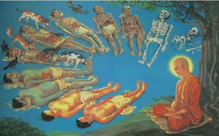 BUDDHIST REBIRTH IN SEARCH OF NIRVANA