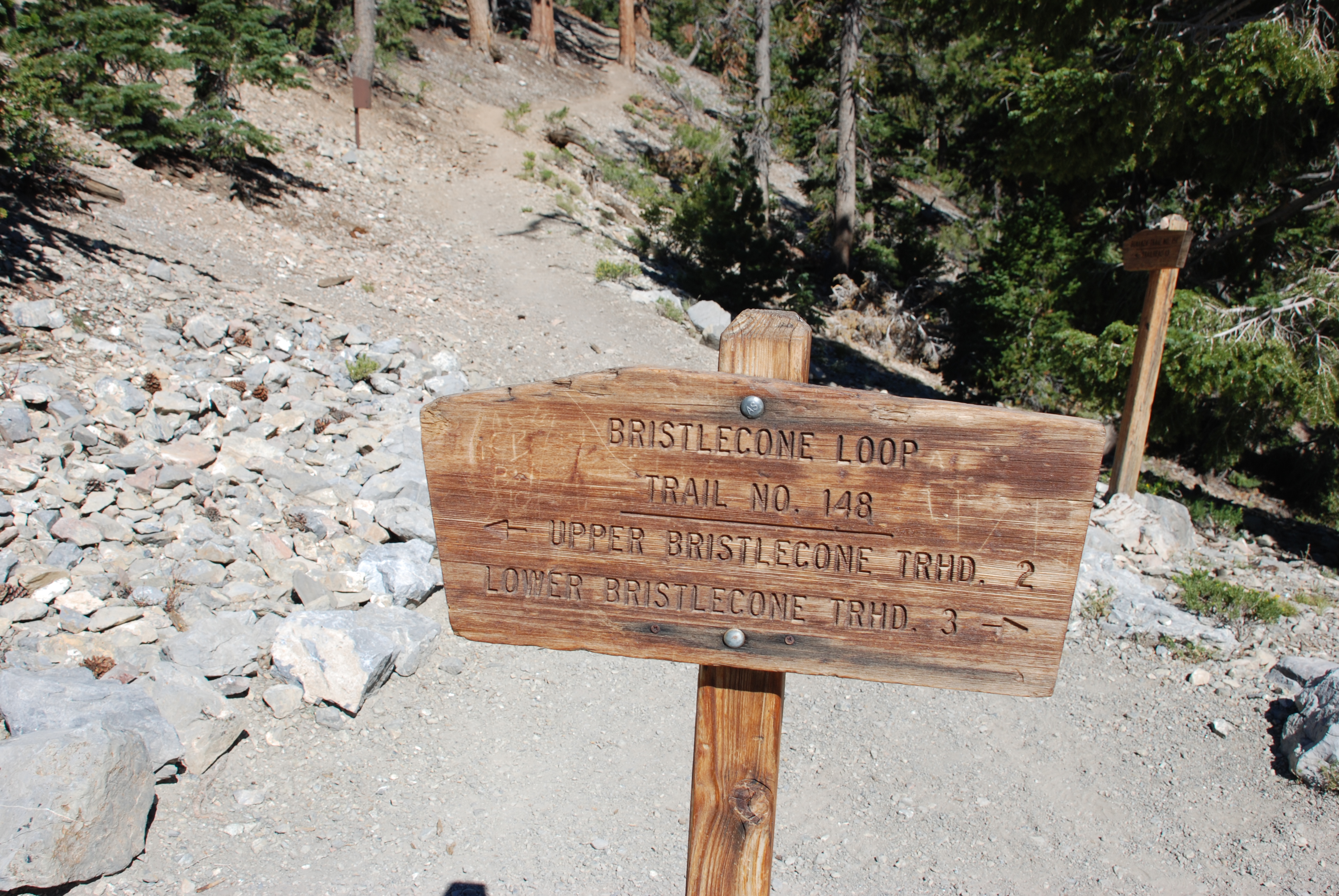 Hike #2 2011_2011 09 01_2824